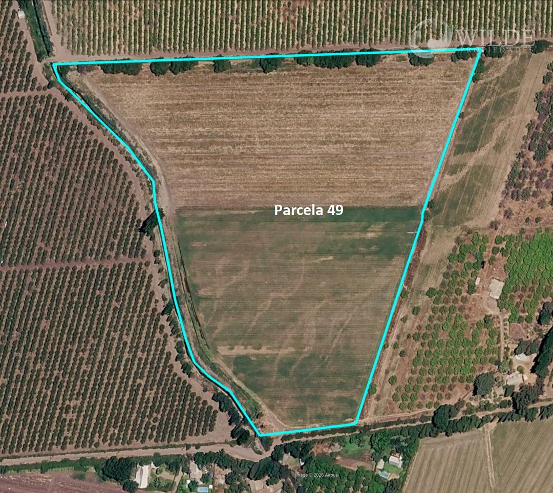 HERMOSA PARCELA 7 Hect. LLAY LLAY - V Region